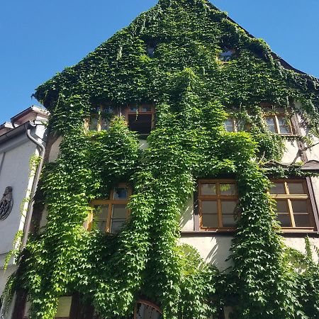 Ferienwohnung Am Erfurter Dom Екстериор снимка